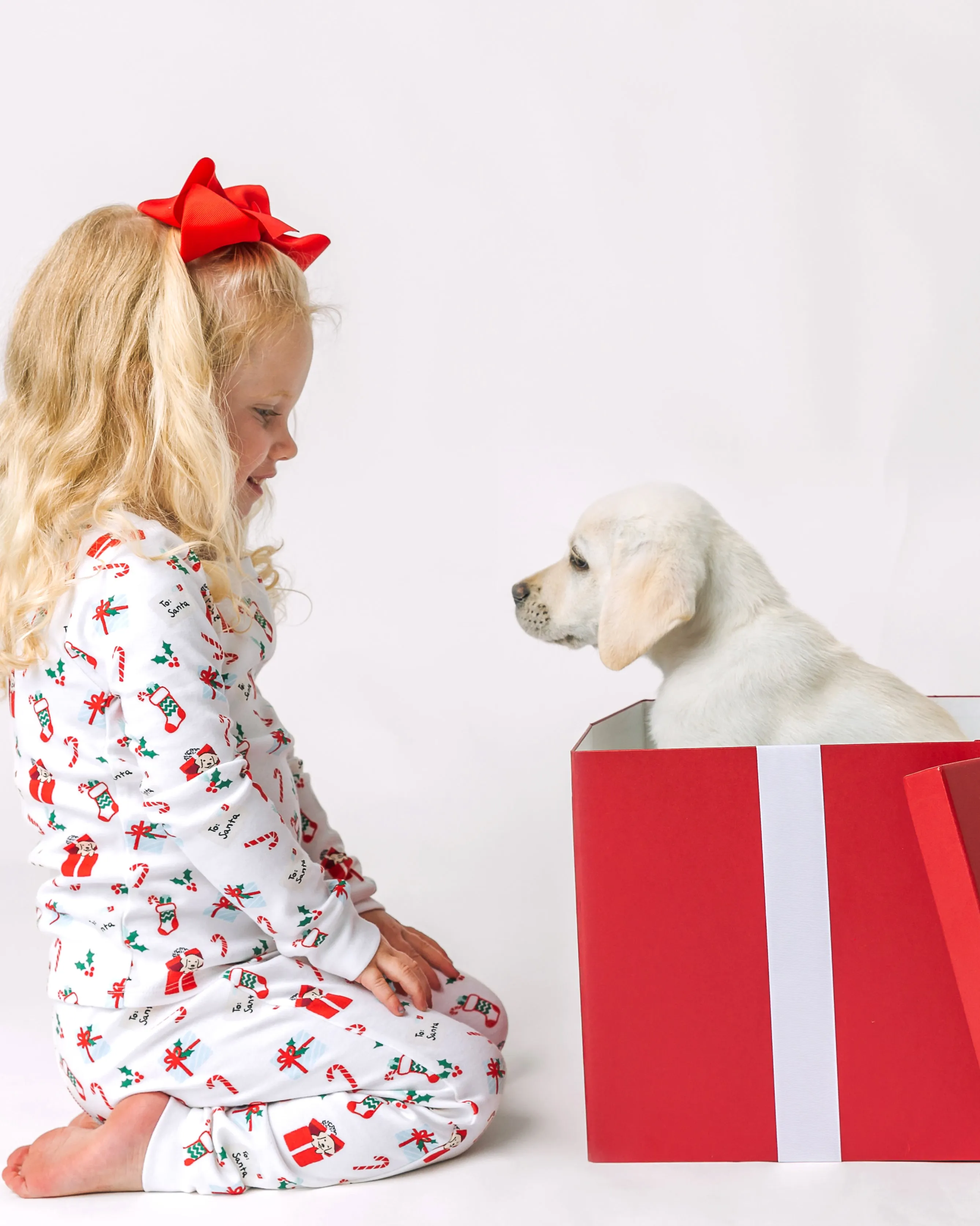 The Organic Long Sleeve Pajama Set [Dear Santa I Want a Puppy]