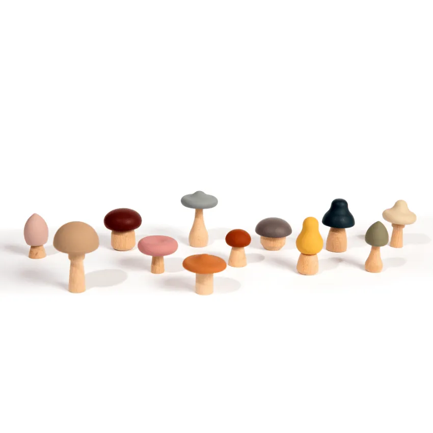 Wood   Silicone Mushroom Sorting Set