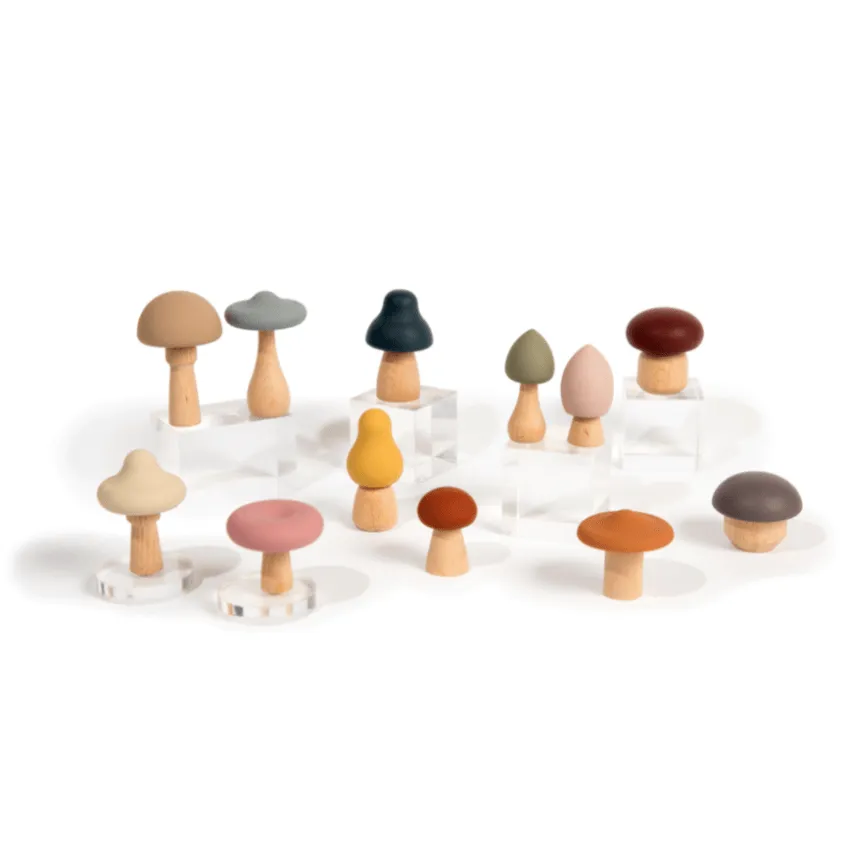 Wood   Silicone Mushroom Sorting Set