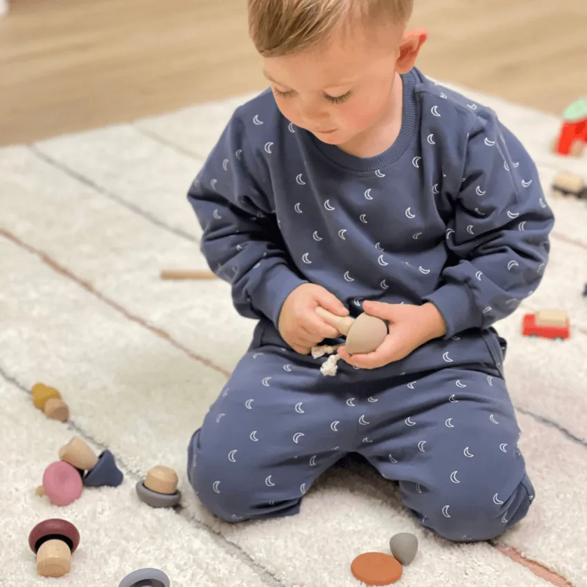 Wood   Silicone Mushroom Sorting Set